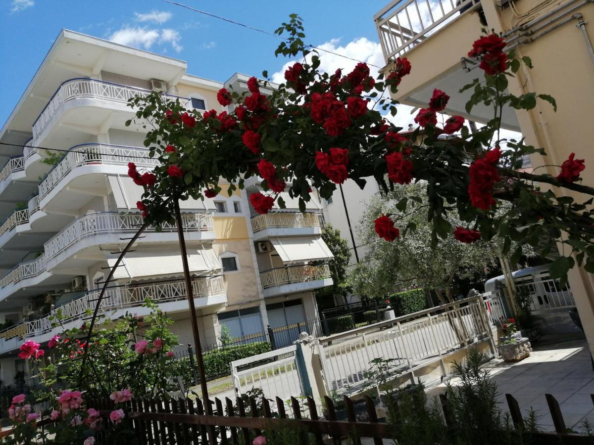 Tom's House * Trikala (Thessaly)